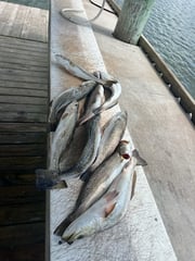 Fishing in Rockport, Texas