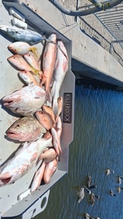 Fishing in Holmes Beach, Florida