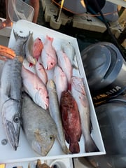 Fishing in Clearwater, Florida
