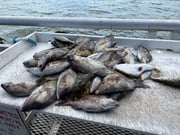 Fishing in Clearwater, Florida