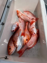 Fishing in Corpus Christi, Texas