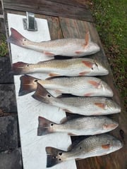 Fishing in Morehead City, North Carolina