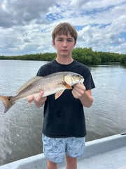 Fishing in Punta Gorda, Florida