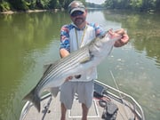 Fishing in Mt. Juliet, Tennessee