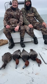 Hunting in Freeport, Texas