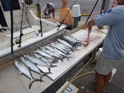 Fishing in Biloxi, Mississippi