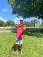 Iguana Hunting in Delray Beach, Florida