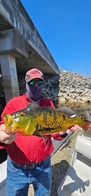 Fishing in Delray Beach, Florida