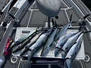 Fishing in Lakeland, Florida