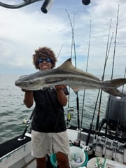 Fishing in St. Petersburg, Florida