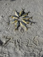 Fishing in Panama City Beach, Florida