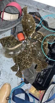 Flounder fishing in Port O'Connor, Texas