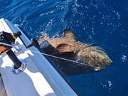 Fishing in Port Orange, Florida