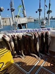 Fishing in Waukegan, Illinois
