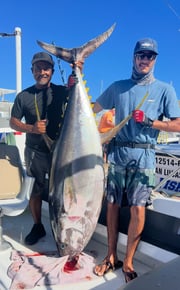 Fishing in Cabo San Lucas, Mexico