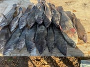 Fishing in Morehead City, North Carolina