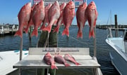 Fishing in Biloxi, Mississippi