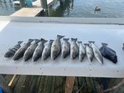 Fishing in Gulf Shores, Alabama