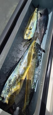 Fishing in Vero Beach, Florida