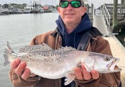 Speckled Trout / Spotted Seatrout Fishing in Mount Pleasant, South Carolina
