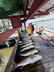 Fishing in Port Mansfield, Texas