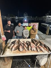 Fishing in Lafitte, Louisiana