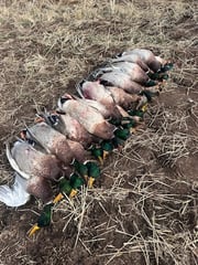 Hunting in Bay City, Texas