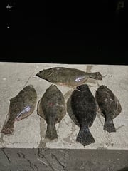 Fishing in Galveston, Texas