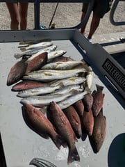 Fishing in Bradenton, Florida
