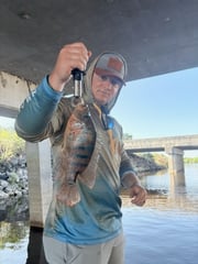 Fishing in Weston, Florida