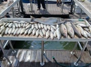 Fishing in Durant, Oklahoma