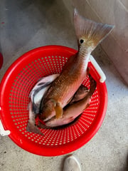 Fishing in Port Aransas, Texas