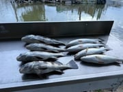 Fishing in Texas City, Texas