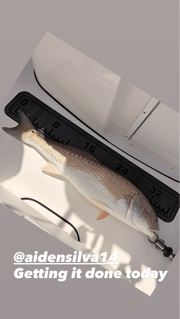 Fishing in Bokeelia, Florida