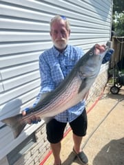 Fishing in Rogers, Arkansas