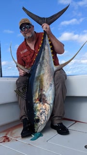 Yellowfin Tuna Fishing in Venice, Louisiana