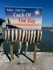 Fishing in Rockport, Texas