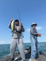 Fishing in Belle River, Canada