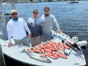Fishing in Pensacola, Florida