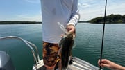Fishing in Stokesdale, North Carolina