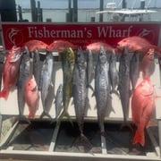 Fishing in Corpus Christi, Texas