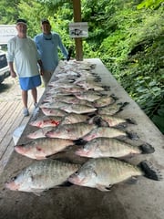 Fishing in Grenada, Mississippi