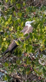 Fishing in Stuart, Florida