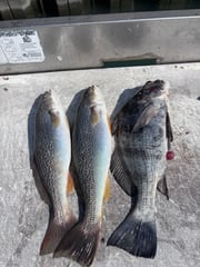 Fishing in Murrells Inlet, South Carolina