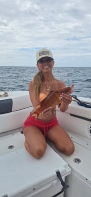 Fishing in Sarasota, Florida