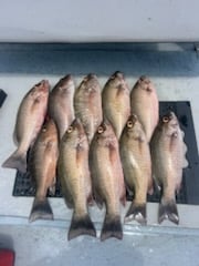 Fishing in Punta Gorda, Florida