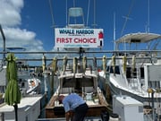 Fishing in Islamorada, Florida