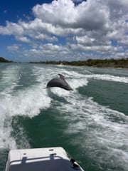 Fishing in Fort Myers Beach, Florida