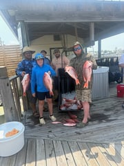 Fishing in Orange Beach, Alabama