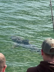 Fishing in Ruskin, Florida